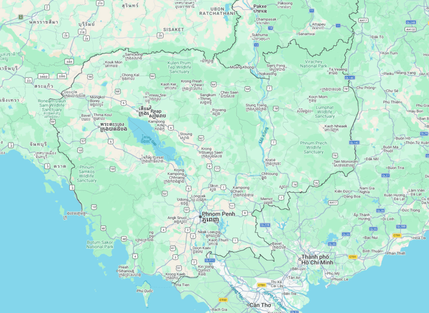 Google Satellite Basemap layer